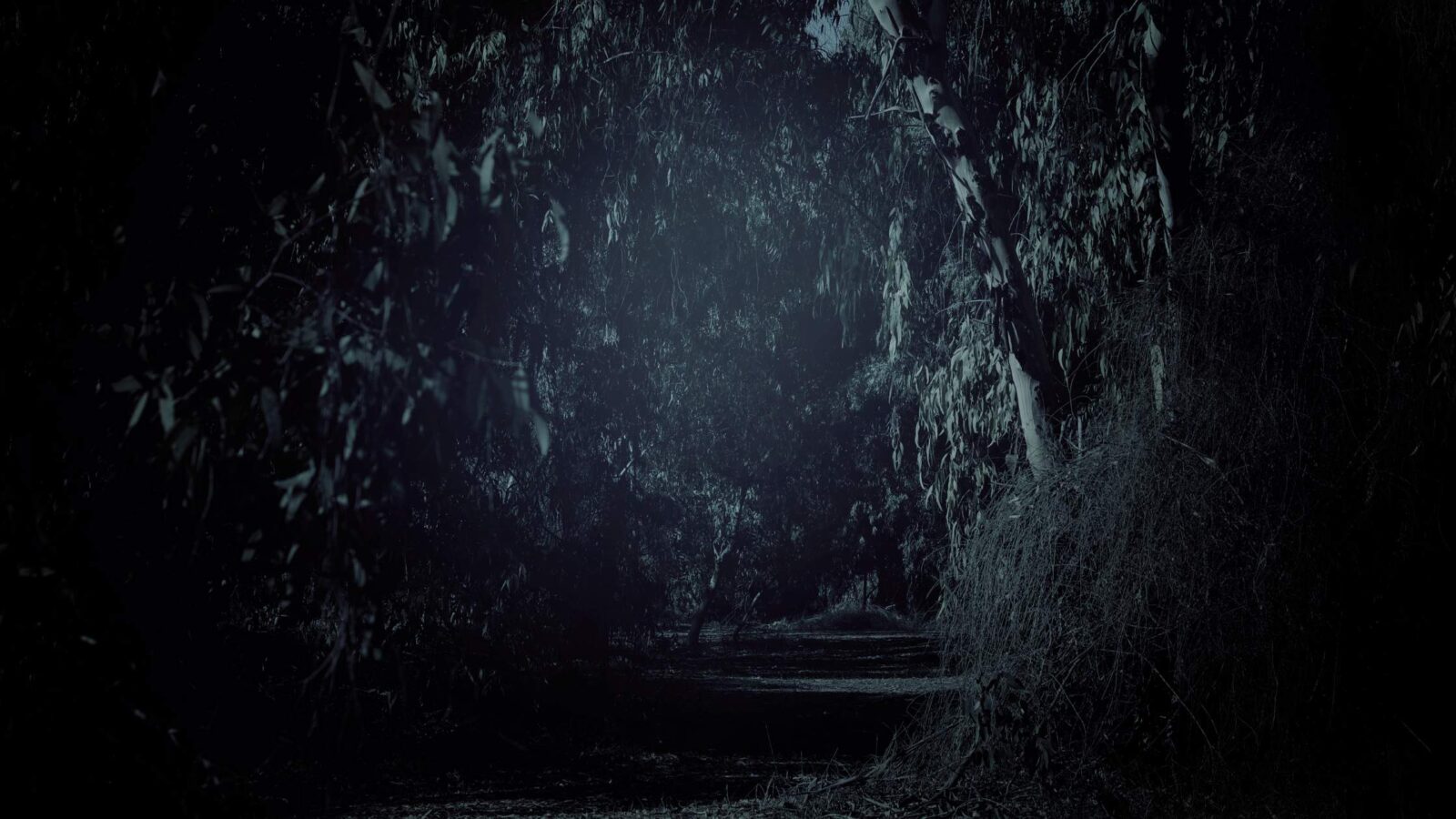 Puzzles and Games - SwiftRiddle