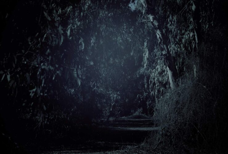 Puzzles and Games - SwiftRiddle