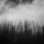 Twists and Turns: Analyzing Murder Mystery Game Plots - Swiftriddle - Haunted Forest