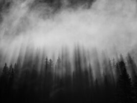 Twists and Turns: Analyzing Murder Mystery Game Plots - Swiftriddle - Haunted Forest