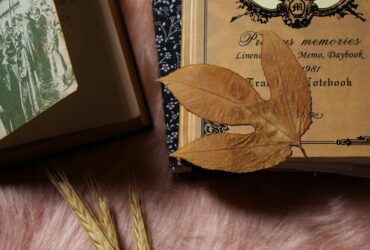 Decoding History: 5 Ancient Scripts Riddles to Challenge You