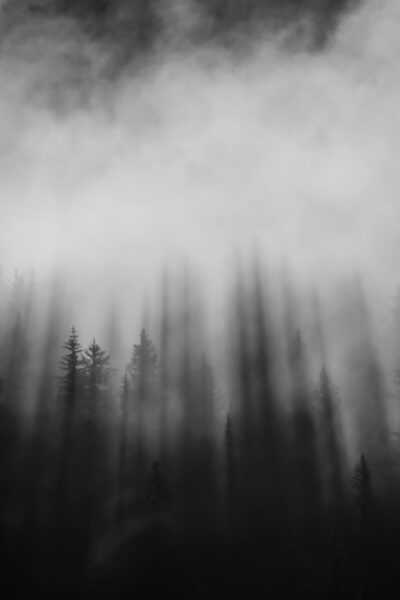 Twists and Turns: Analyzing Murder Mystery Game Plots - Swiftriddle - Haunted Forest